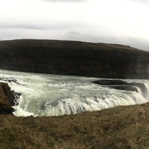 Meet your Posher, Liora